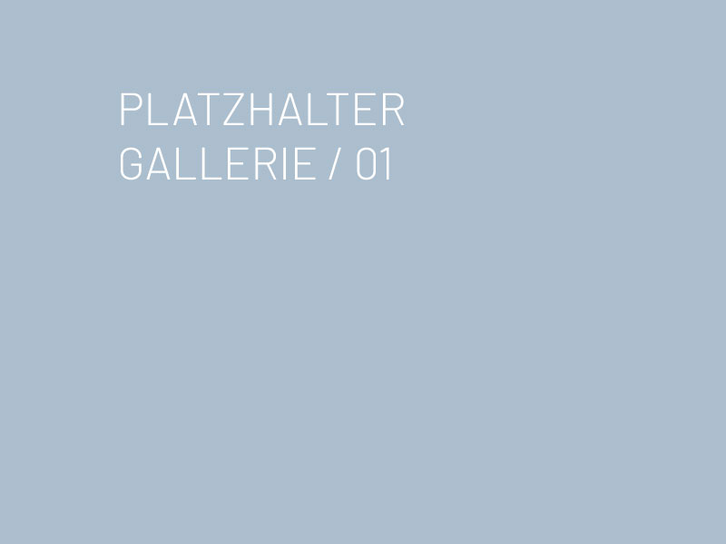 Platzhalter Gallerie (Alt-Text)