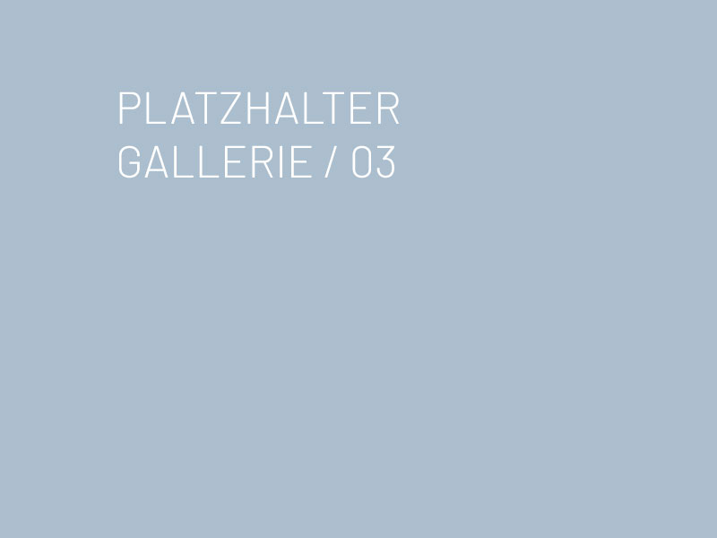 Platzhalter Gallerie (Alt-Text)